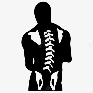 脊髓人体解剖学人体脊柱图标图标