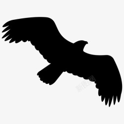鹰鸟鹰鸟野生动物图标高清图片