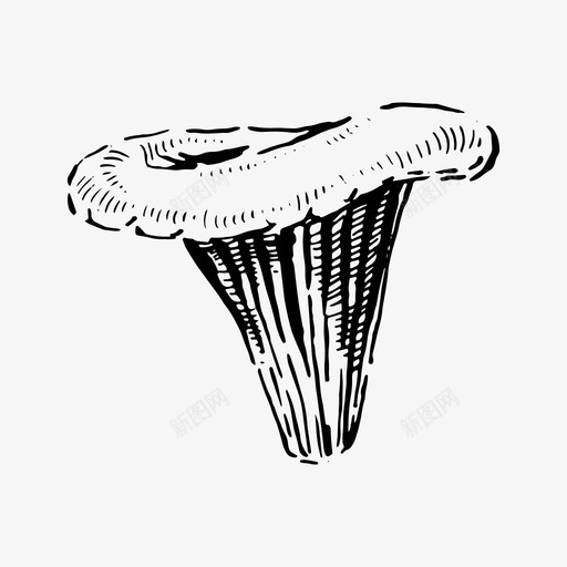 香菇秋天食物图标svg_新图网 https://ixintu.com 秋天 蔬菜 蘑菇 食物 香菇