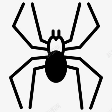 蜘蛛动物蜘蛛纲动物图标图标
