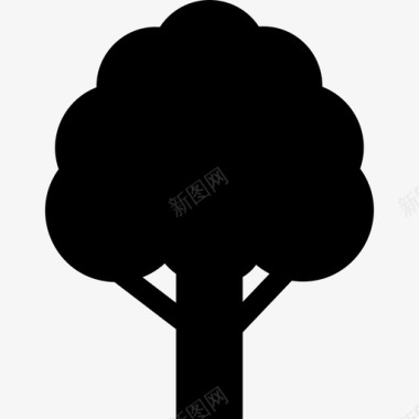 橡树山毛榉栎树图标图标