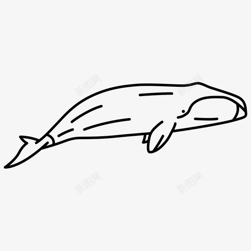 头鲸哺乳动物海洋图标svg_新图网 https://ixintu.com 哺乳动物 头鲸 威尔士 海洋