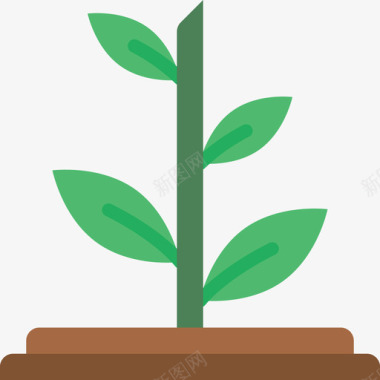 植物植物33平坦图标图标