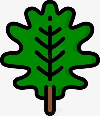 橡树叶植物31线形颜色图标图标