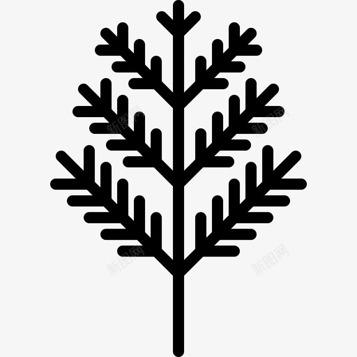 Dillfruitsandvegetables41color图标svg_新图网 https://ixintu.com Dill.fruits and color vegetables