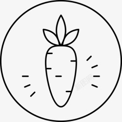 以植物性食物为主素食胡萝卜植物性图标高清图片