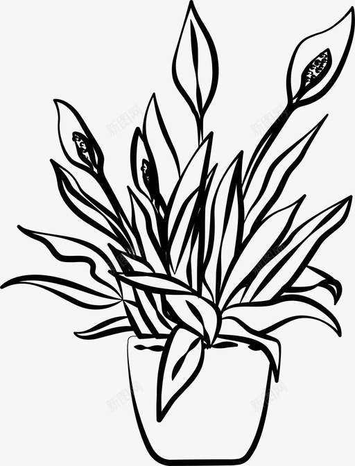 和平百合房子室内植物图标svg_新图网 https://ixintu.com 和平 室内 房子 植物 百合 盆栽
