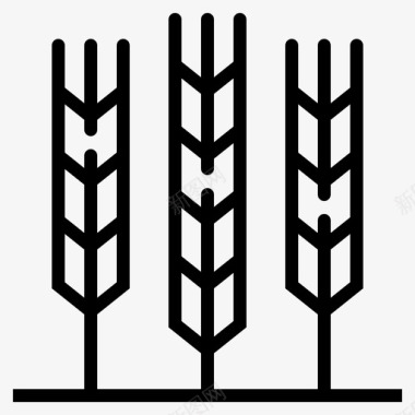小麦大麦谷类食品图标图标