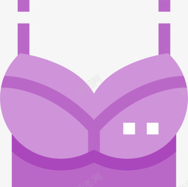 胸罩衣服和洗衣房2件平的图标图标