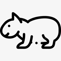 wombatWombatAustralia26线性图标高清图片