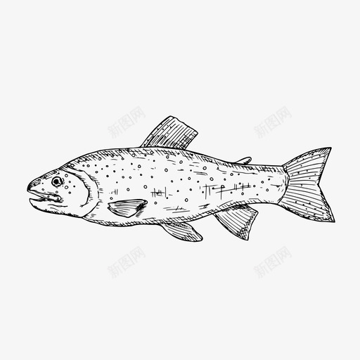 鳟鱼鱼食物图标svg_新图网 https://ixintu.com 海鲜 素描 食物 鲑鱼 鳟鱼
