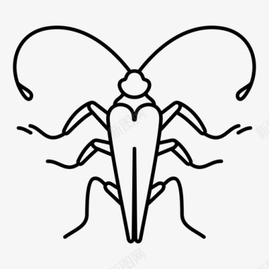蟑螂甲虫图标图标