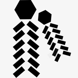 baozhubaozhu高清图片