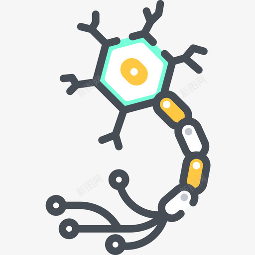神经元生物学13双色图标svg_新图网 https://ixintu.com 双色 生物学 神经元