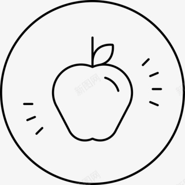 真正的食物苹果生的食物图标图标