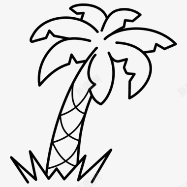 棕榈树热带图标图标