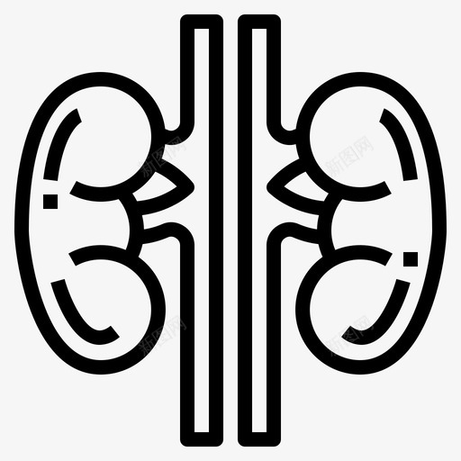 肾脏人体器官3线性图标svg_新图网 https://ixintu.com 人体 器官 线性 肾脏