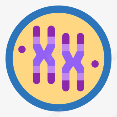 染色体人器官5扁平图标图标