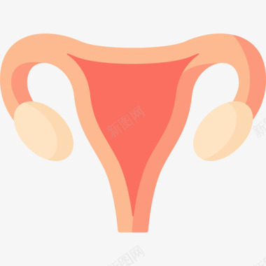 子宫人体6扁平图标图标