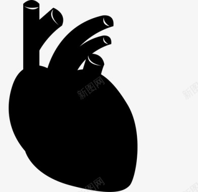 心脏内科图标