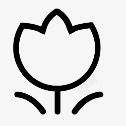 花1得2花2_flower1高清图片