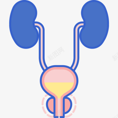 前列腺健康50线性颜色图标图标