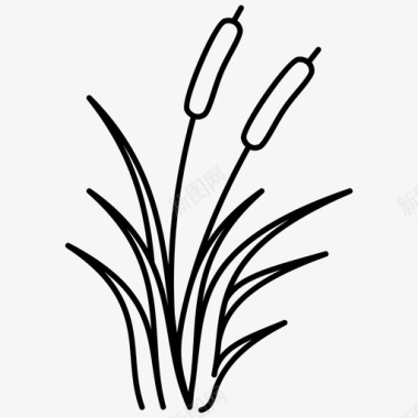 灌木灯心草班奇植物图标图标