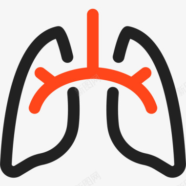 肺解剖学3双音图标图标