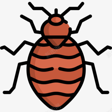 臭虫昆虫21线状颜色图标图标