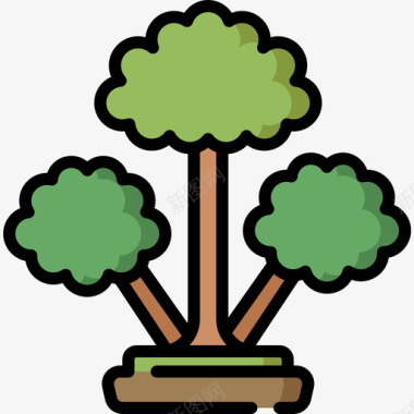 肉桂树树15线形颜色图标图标