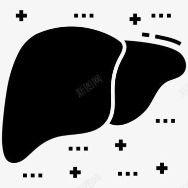 肝脏解剖学肝病学图标图标