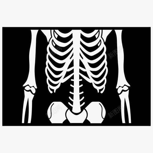放射学解剖学骨骼图标svg_新图网 https://ixintu.com 医学 射线 放射 结构 解剖学 骨骼