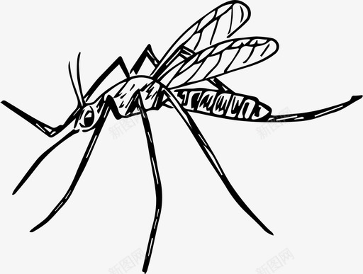 蚊子昆虫自然图标svg_新图网 https://ixintu.com 昆虫 素描 自然 蚊子