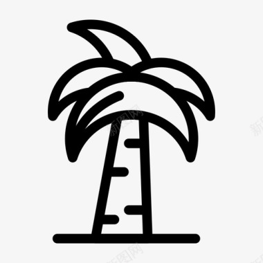 树棕榈树小矮树图标图标