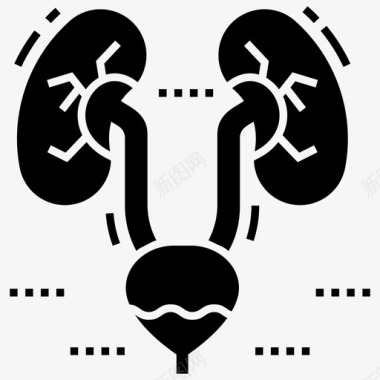 肾脏身体部分人体生物学图标图标