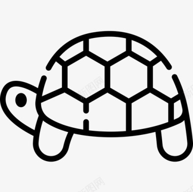 海龟动物55直系图标图标