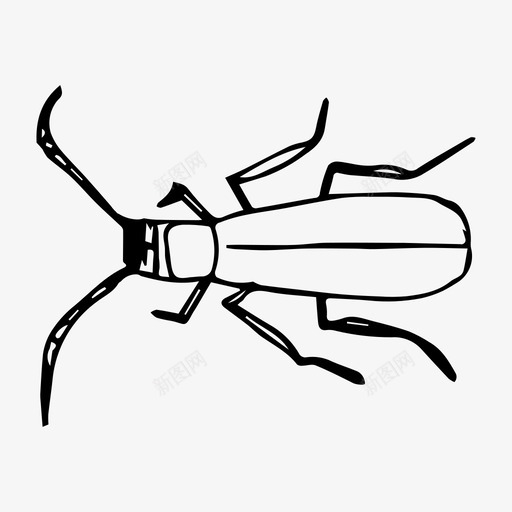 蟑螂甲虫昆虫图标svg_新图网 https://ixintu.com 昆虫 甲虫 素描 自然 蟑螂