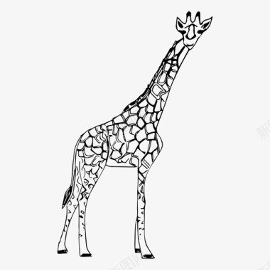 长颈鹿动物自然图标图标