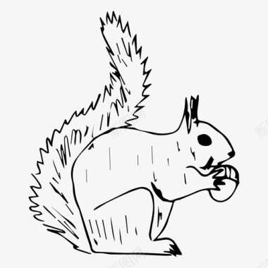 松鼠动物自然图标图标