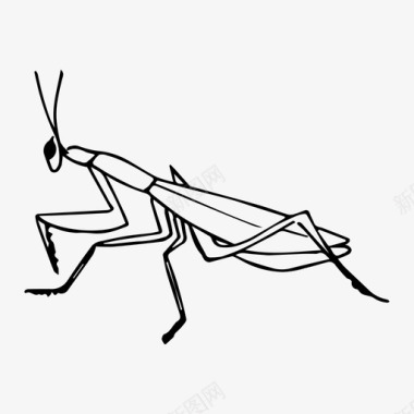 螳螂昆虫自然图标图标