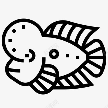 金枪鱼海洋鱼宠物图标图标