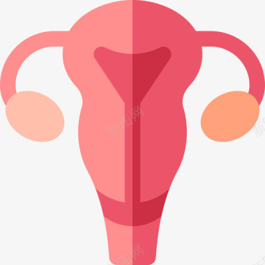 子宫人体13扁平图标图标