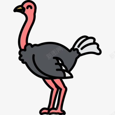 鸵鸟动物27线形颜色图标图标