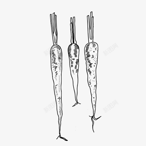胡萝卜根茎类蔬菜手绘蔬菜图标svg_新图网 https://ixintu.com 手绘 根茎 胡萝卜 蔬菜 蔬菜水果