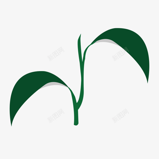 茶叶svg_新图网 https://ixintu.com 茶叶 填充 简约 多色 精美