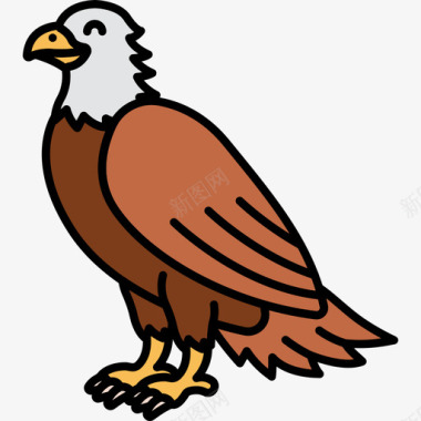 鹰动物27线性颜色图标图标