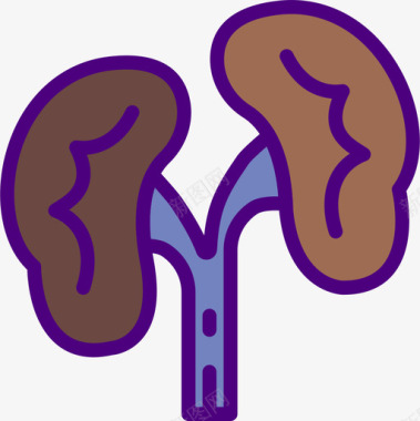 肾脏医学186线性颜色图标图标