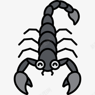 蝎子动物27线形颜色图标图标