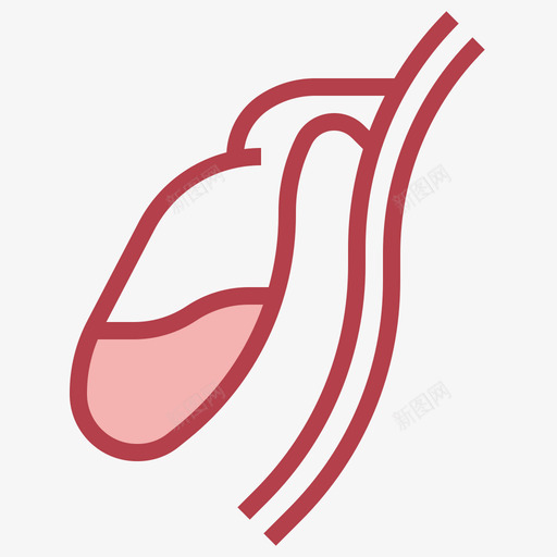 胆囊人体解剖学2其他图标svg_新图网 https://ixintu.com 人体 其他 胆囊 解剖学