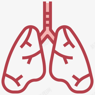 肺人体解剖学2其他图标图标
